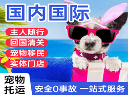 揭阳潮汕航空运输国际宠物托运 【国